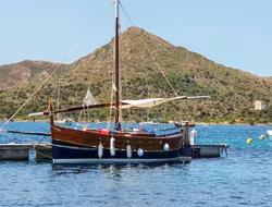 Wooden Sailboat Excursion To Asinara Island